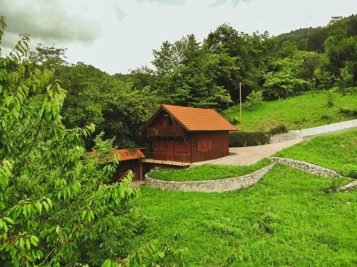 Вилла Lazec Country House Pluznje Экстерьер фото
